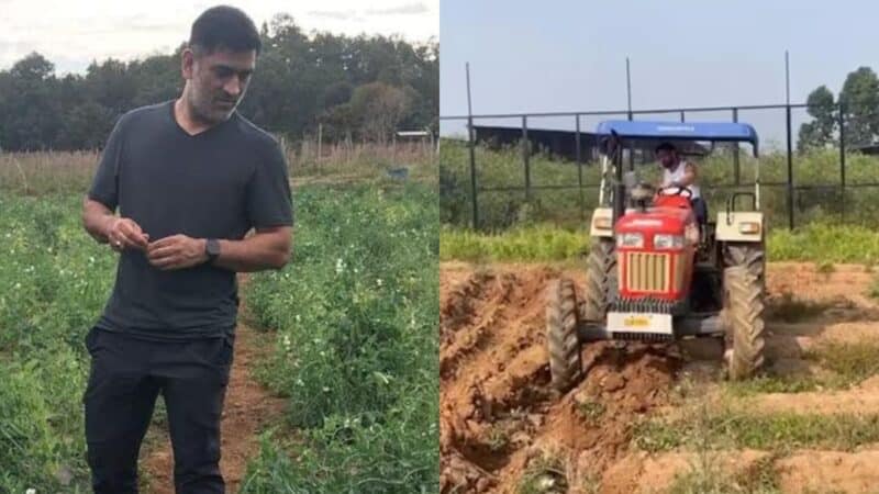 पूर्व कप्तान महेंद्र सिंह धोनी ने शुरू की जैविक खेती, देखें फार्म हाउस में ट्रैक्टर चलाते हुए उनकी नई तस्वीरें