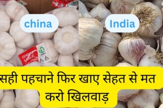 difference between india and china garlic