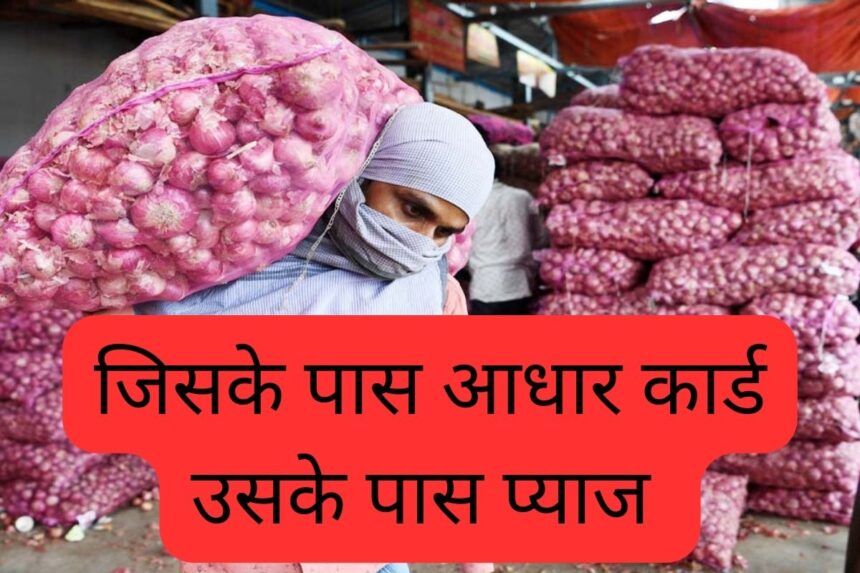 jalandhar-city-onion-price-today