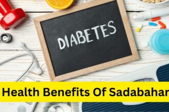 Health Benefits Of Sadabahar