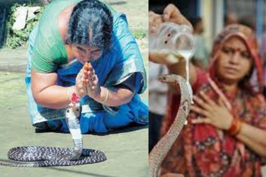 snake-is-worshipped-im-chattisgarh
