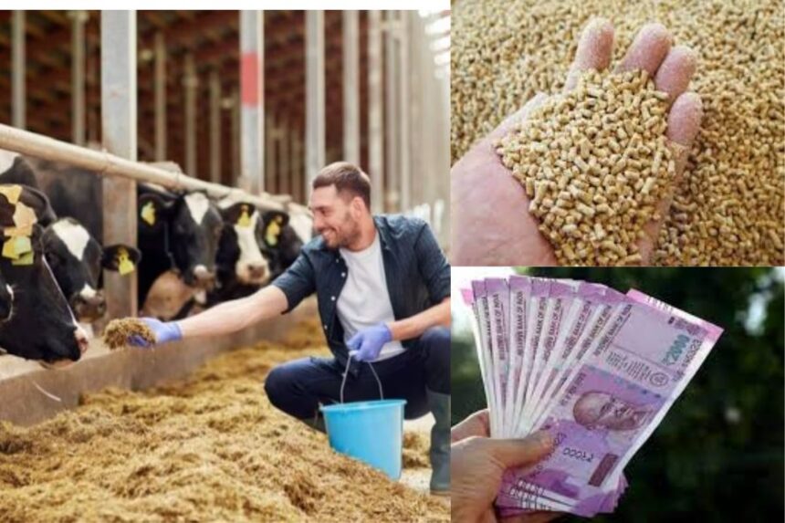 business-idea-animal-feed-farm-pashu-chara